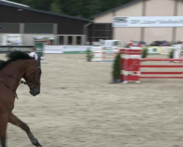 Reitturnier Olfen-Vinnum 2019