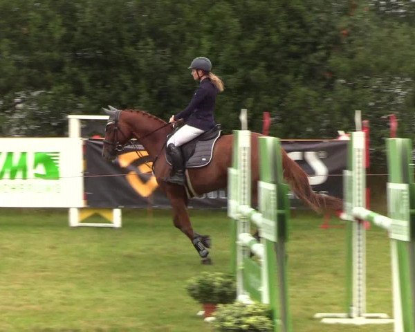 Reitturnier Sollerup 2019