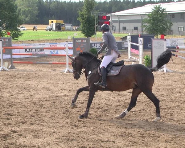 Reitturnier Jagstzell 2019