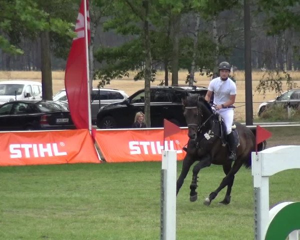 Reitturnier Zobbenitz 2019