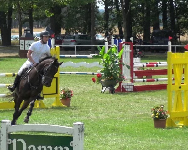 Reitturnier Zobbenitz 2019