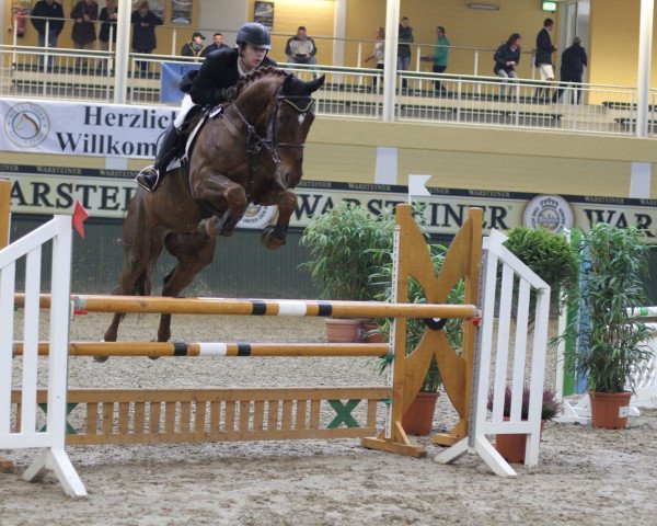 Springpferd Flying Fire (Westfale, 2006, von Feuerblick)