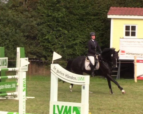 Reitturnier Sollerup 2019