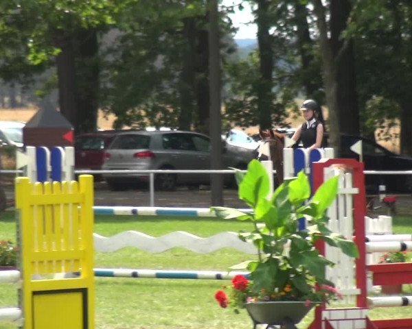 Reitturnier Zobbenitz 2019