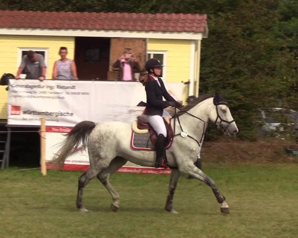 Reitturnier Sollerup 2019