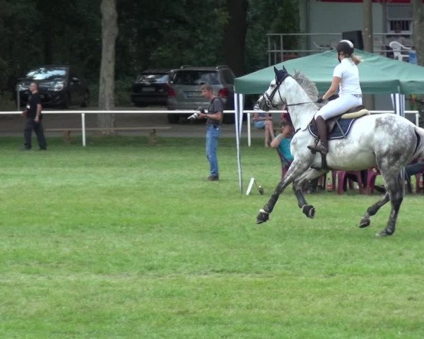 Reitturnier Zobbenitz 2019