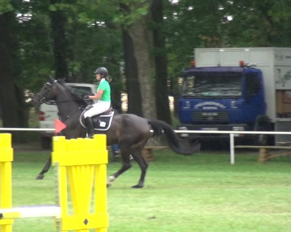 Reitturnier Zobbenitz 2019