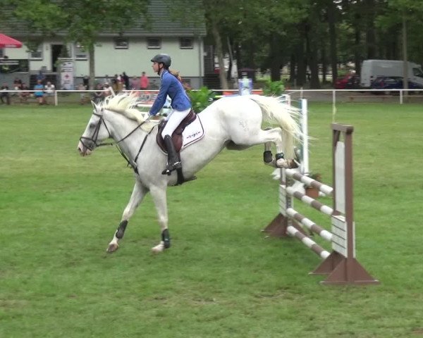 Reitturnier Zobbenitz 2019