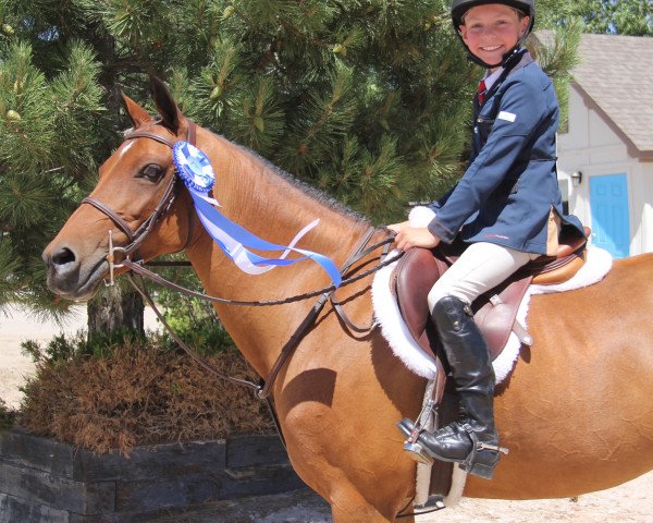 Pferd Mustang Sally (Deutsches Reitpony, 1999, von Nixen)