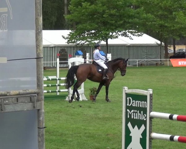 Reitturnier Zobbenitz 2019