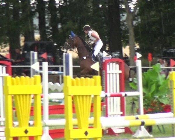 Reitturnier Zobbenitz 2019
