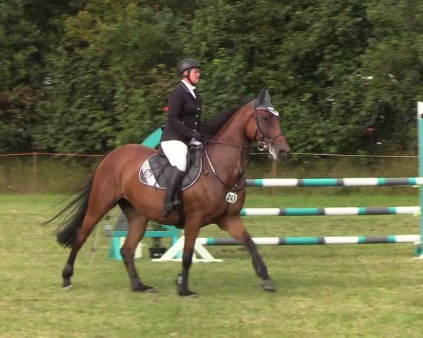 Reitturnier Sollerup 2019