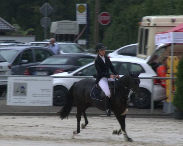 Reitturnier Olfen-Vinnum 2019
