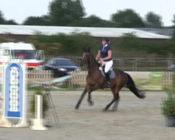 Reitturnier Schülp / Rendsburg 2019
