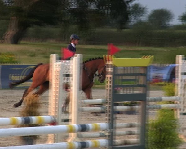 Reitturnier Schülp / Rendsburg 2019