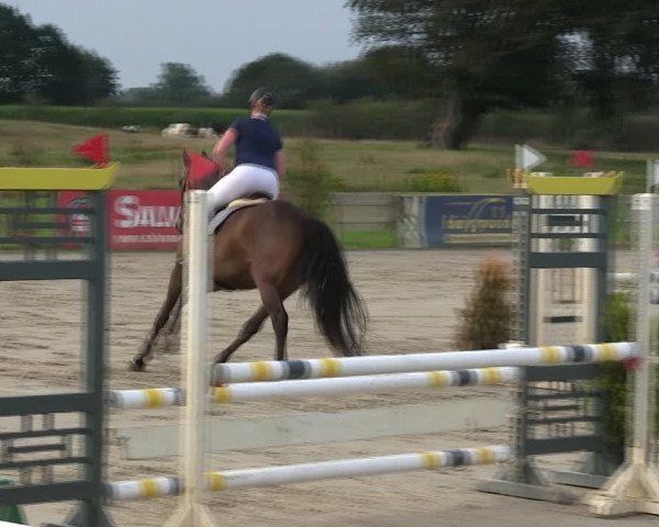 Reitturnier Schülp / Rendsburg 2019