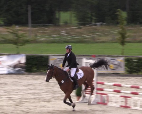 Reitturnier Monschau-Mützenich 2019