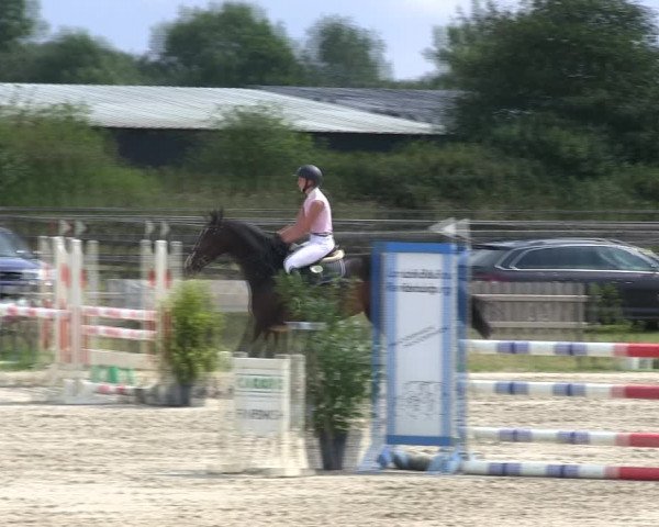 Reitturnier Schülp / Rendsburg 2019