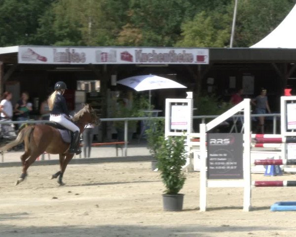 Reitturnier Olfen-Vinnum 2019