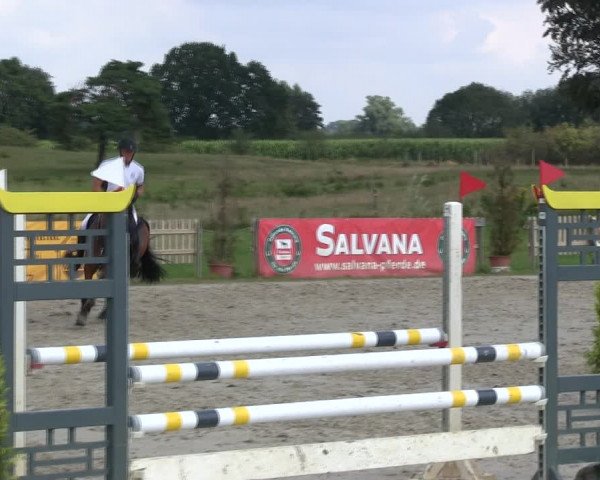 Reitturnier Schülp / Rendsburg 2019