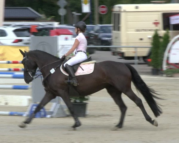 Reitturnier Olfen-Vinnum 2019