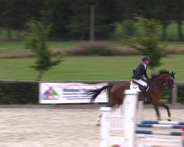 Reitturnier Monschau-Mützenich 2019