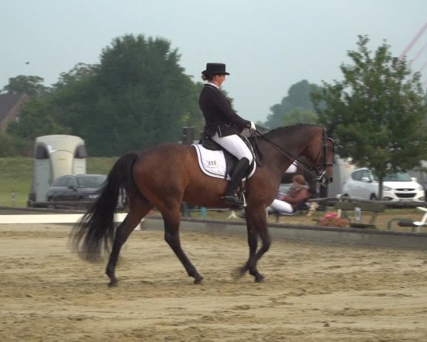 Reitturnier Neuss-Uedesheim 2019