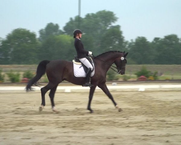 Reitturnier Neuss-Uedesheim 2019