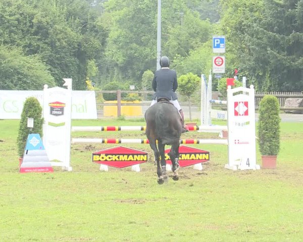Reitturnier Langenthal 2019