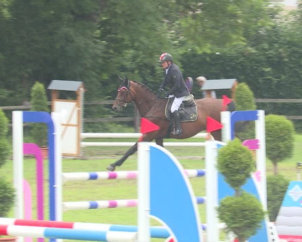 Reitturnier Langenthal 2019