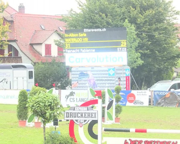 Reitturnier Langenthal 2019