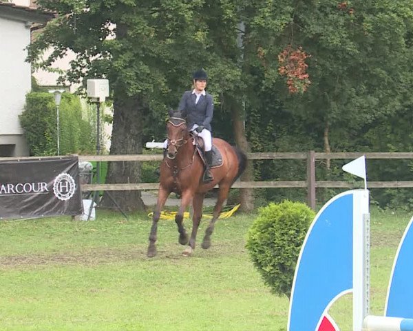Reitturnier Langenthal 2019
