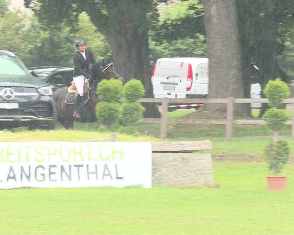 Reitturnier Langenthal 2019