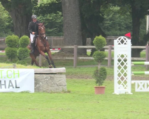 Reitturnier Langenthal 2019