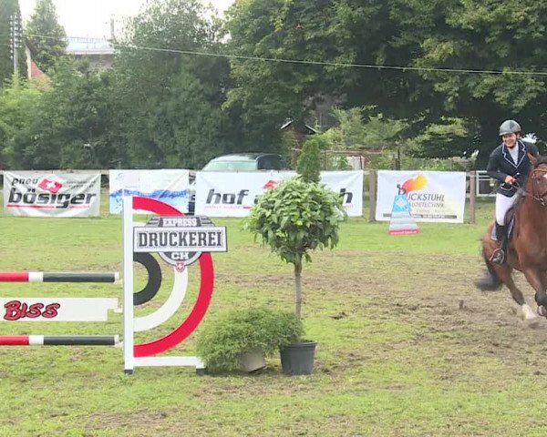 Reitturnier Langenthal 2019