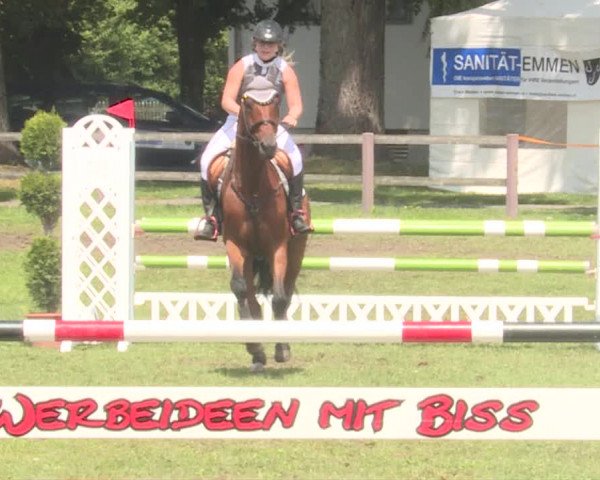 Reitturnier Langenthal 2019