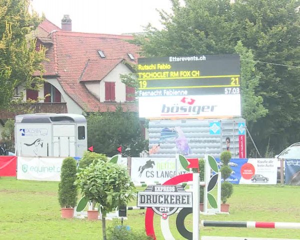 Reitturnier Langenthal 2019