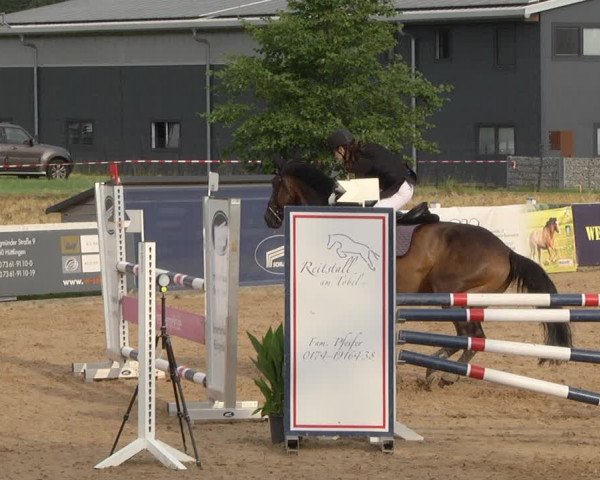 Reitturnier Jagstzell 2019