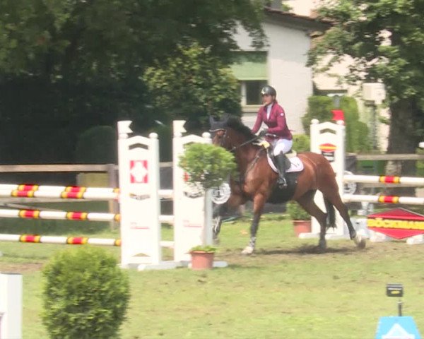 Reitturnier Langenthal 2019