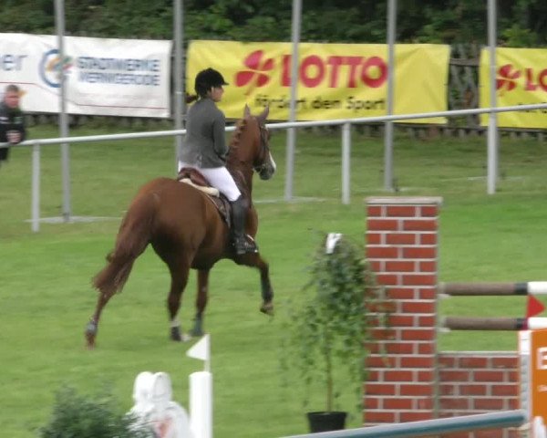 Reitturnier Wernigerode 2021