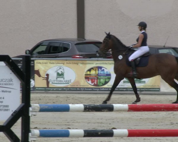 Reitturnier Olfen-Vinnum 2019
