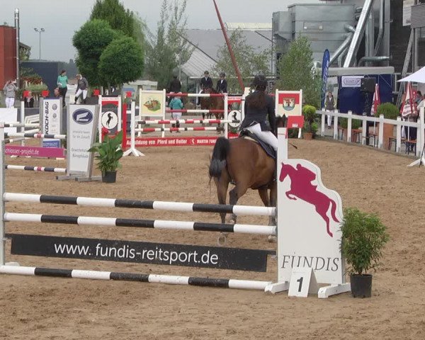 Reitturnier Jagstzell 2019