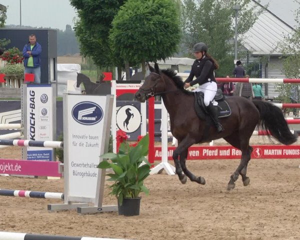 Reitturnier Jagstzell 2019