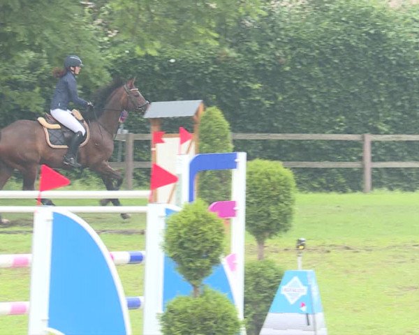 Reitturnier Langenthal 2019