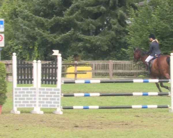 Reitturnier Langenthal 2019