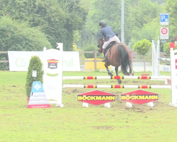Reitturnier Langenthal 2019