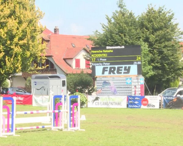 Reitturnier Langenthal 2019