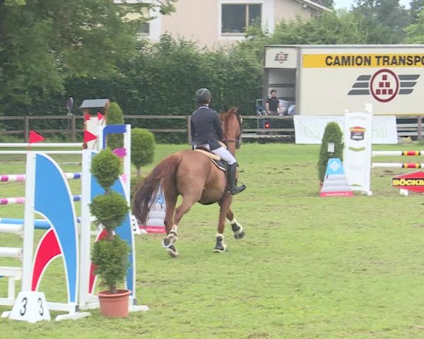 Reitturnier Langenthal 2019