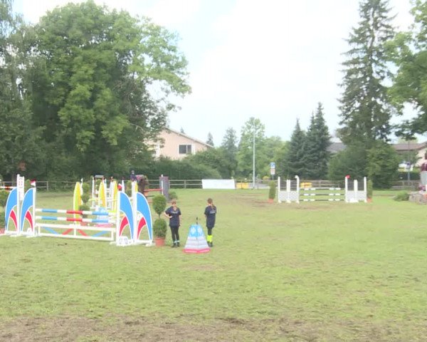 Reitturnier Langenthal 2019