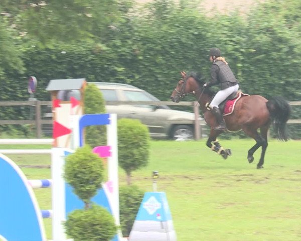 Reitturnier Langenthal 2019